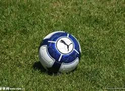 金种子预测,场精选命中,今日金胆已,爱游戏app,爱游戏官网,爱游戏体育官网,爱游戏体育app